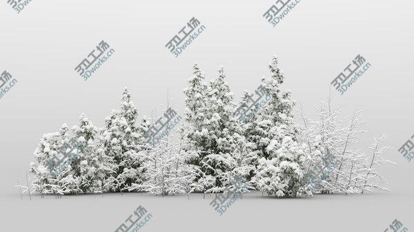 images/goods_img/20210312/10plus10 Forest Bush/2.jpg